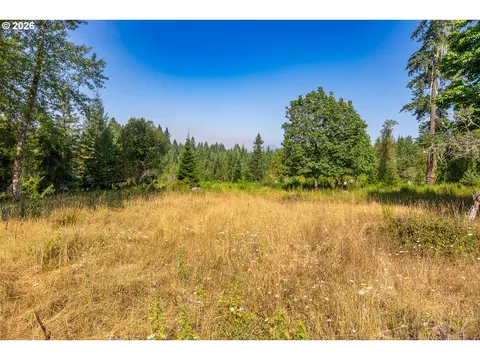 hawk meadows rd, Carson, WA 98610 photo 12