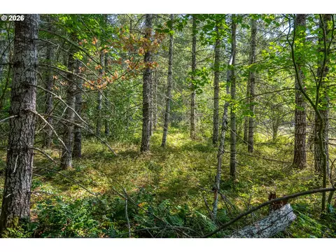 hawk meadows rd, Carson, WA 98610 photo 26
