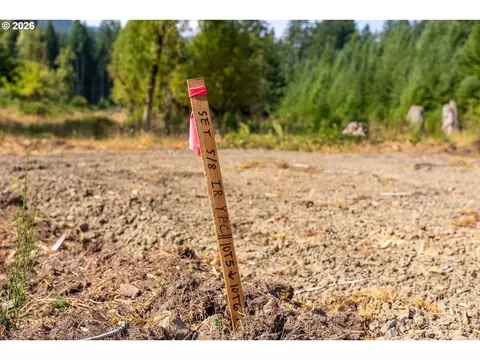 hawk meadows rd, Carson, WA 98610 photo 18