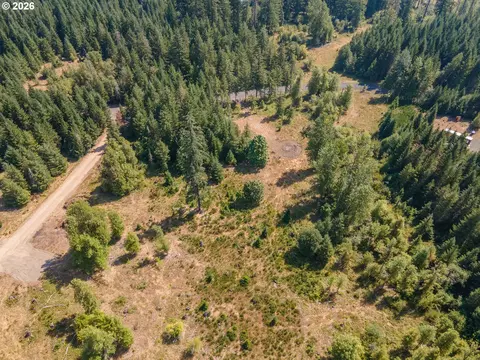 hawk meadows rd, Carson, WA 98610 photo 34