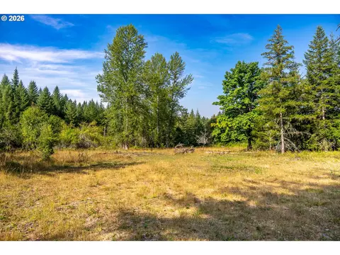hawk meadows rd, Carson, WA 98610 photo 10