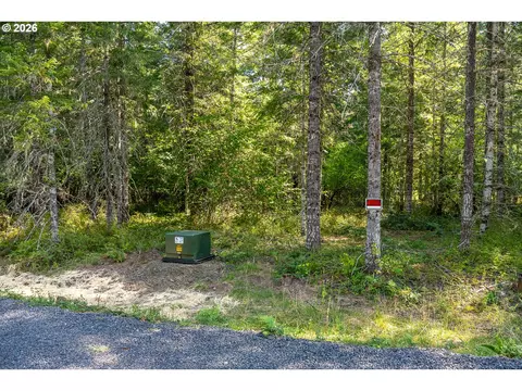 hawk meadows rd, Carson, WA 98610 photo 21