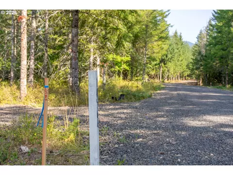 hawk meadows rd, Carson, WA 98610 photo 6