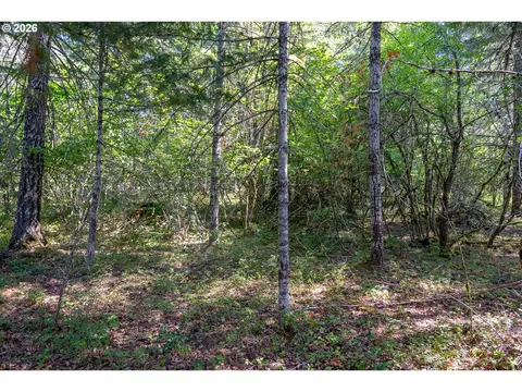 hawk meadows rd, Carson, WA 98610 photo 25