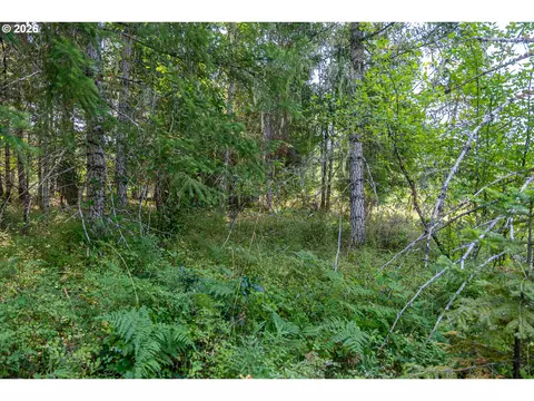 hawk meadows rd, Carson, WA 98610 photo 23