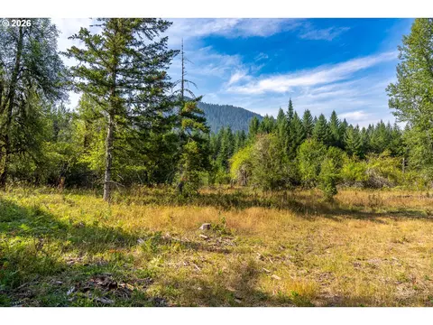 hawk meadows rd, Carson, WA 98610 photo 11