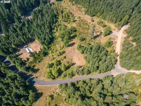 hawk meadows rd, Carson, WA 98610 photo 32