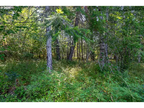 hawk meadows rd, Carson, WA 98610 photo 24