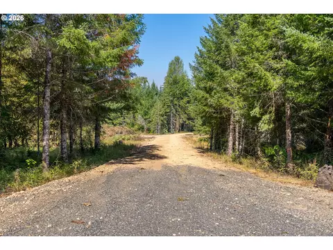 hawk meadows rd, Carson, WA 98610 photo 40