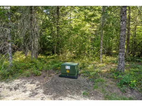 hawk meadows rd, Carson, WA 98610 photo 20
