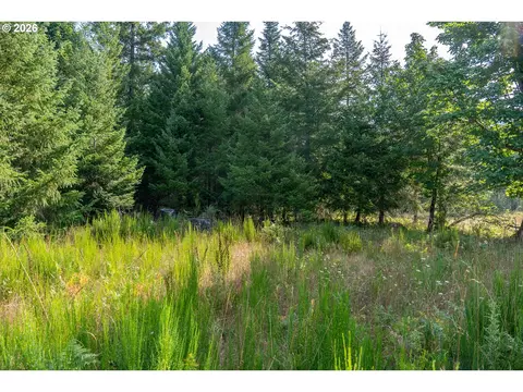 hawk meadows rd, Carson, WA 98610 photo 15