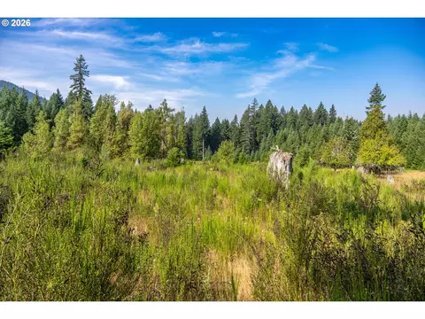 hawk meadows rd, Carson, WA 98610 photo 17