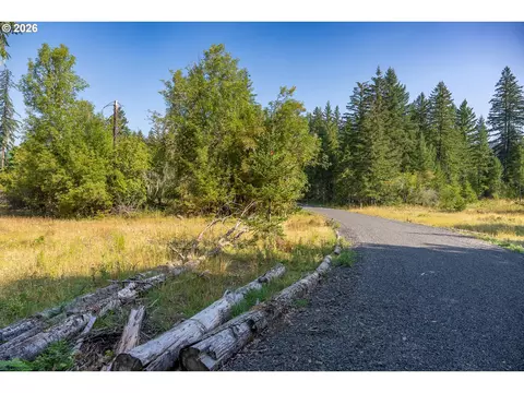hawk meadows rd, Carson, WA 98610 photo 2