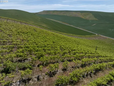 Emerson Loop Rd, The Dalles, OR 97058 photo 11