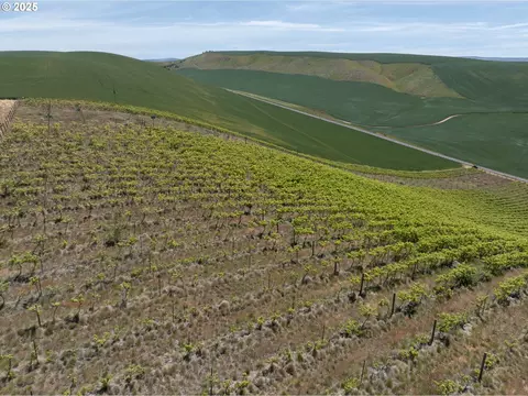 Emerson Loop Rd, The Dalles, OR 97058 photo 10