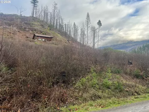 0 Evergreen Ln, Idleyld Park, OR 97447