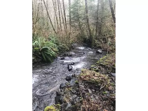 000 Alsea Hwy, Alsea, OR 97324