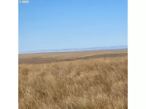 Stage Gulch Rd, Pendleton, OR 97801 photo 3