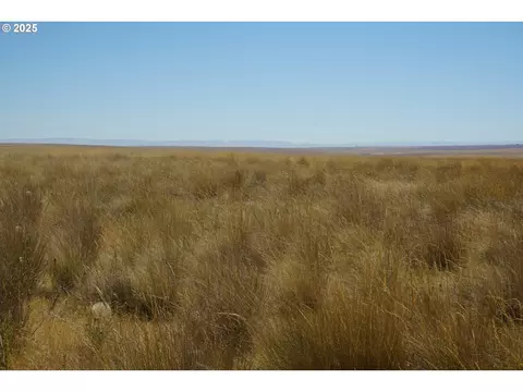 Stage Gulch Rd, Pendleton, OR 97801 photo 2