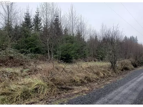 0000 Andy Thomas Rd, Rainier, OR 97048 photo 4