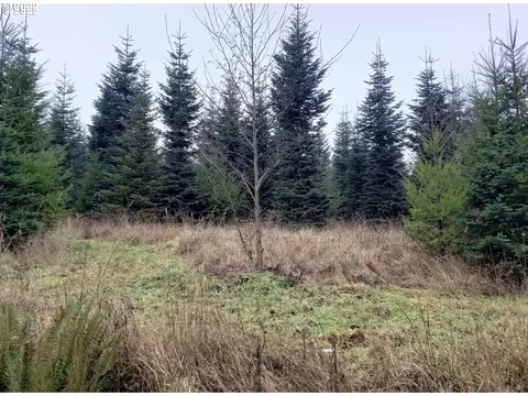 0000 Andy Thomas Rd, Rainier, OR 97048 photo 6