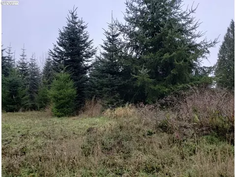 0000 Andy Thomas Rd, Rainier, OR 97048 photo 3