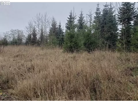0000 Andy Thomas Rd, Rainier, OR 97048 photo 5