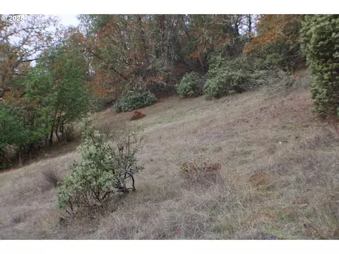 1320 Shoestring Rd, Riddle, OR 97469 photo 47