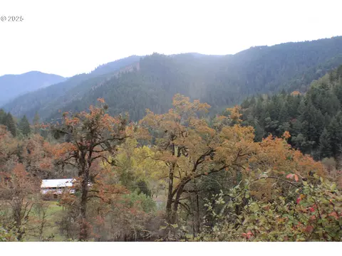 1320 Shoestring Rd, Riddle, OR 97469 photo 43