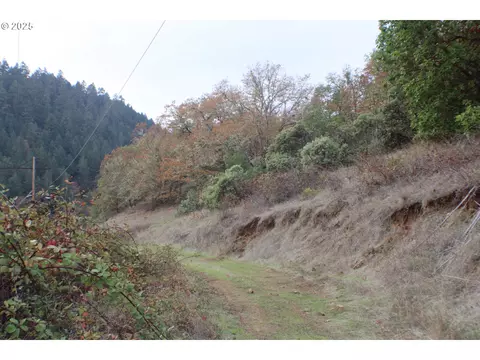 1320 Shoestring Rd, Riddle, OR 97469 photo 48