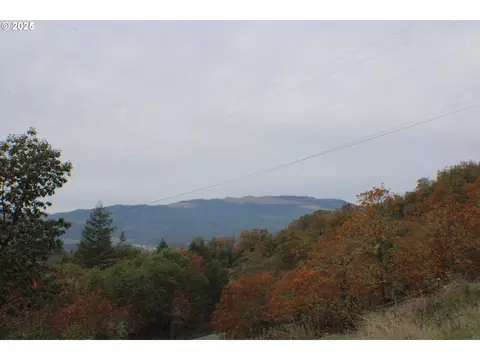 1320 Shoestring Rd, Riddle, OR 97469 photo 45