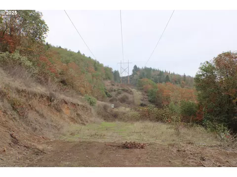 1320 Shoestring Rd, Riddle, OR 97469 photo 44