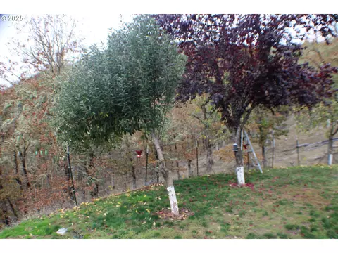 1320 Shoestring Rd, Riddle, OR 97469 photo 46