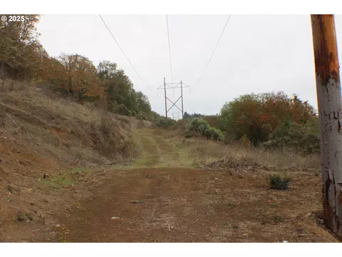 1320 Shoestring Rd, Riddle, OR 97469 photo 42