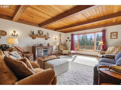 Living - 3031 Loop Rd, Stevenson, WA 98648 photo 2 of 3