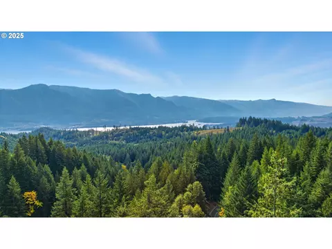 View/Area - 3031 Loop Rd, Stevenson, WA 98648 photo 3 of 3