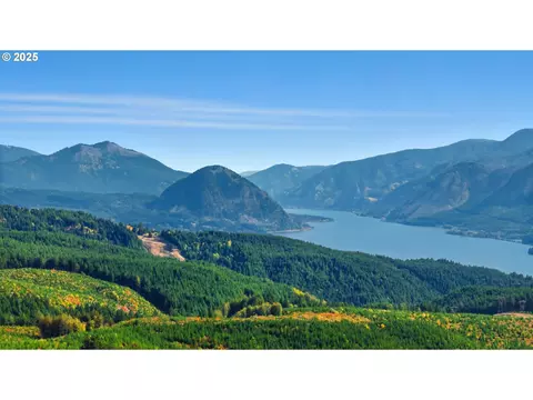 View/Area - 3031 Loop Rd, Stevenson, WA 98648 photo 1 of 3