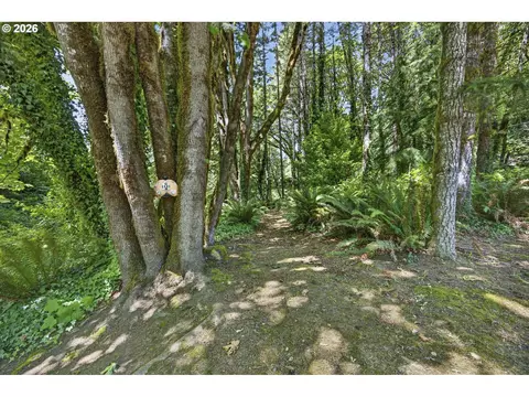 12290 Highway 126, Mapleton, OR 97453 photo 42