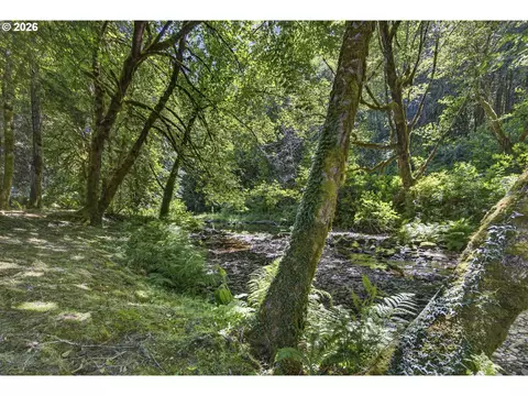 12290 Highway 126, Mapleton, OR 97453 photo 39