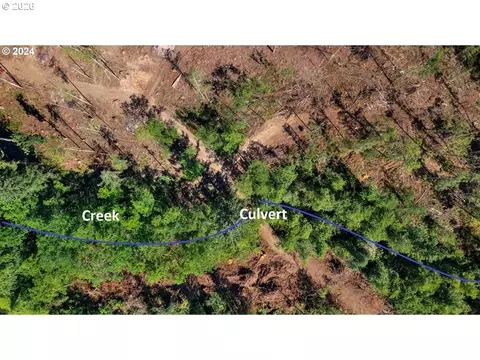 NE Berry Rd, Battle Ground, WA 98604