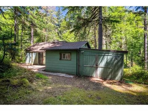 49091 Salt Creek Rd, Oakridge, OR 97463