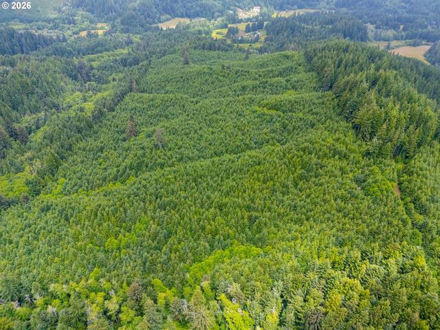 Usfs 5591, Yachats, OR 97498