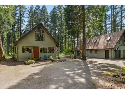 55482 Delta Rd, Blue River, OR 97413