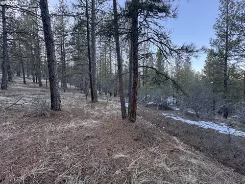 bobcat cir LOT 7, Beatty, OR 97621