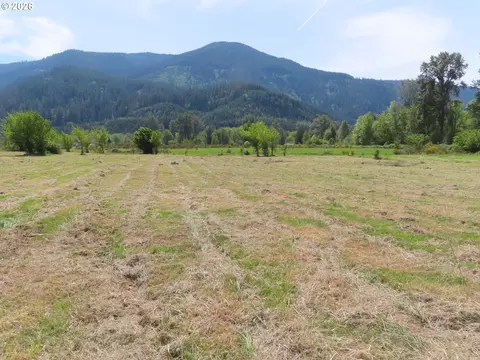 295 River Ranch Rd, Randle, WA 98377