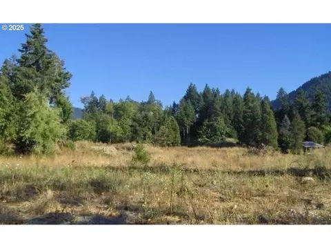 48382 Roaring Rapids Way, Oakridge, OR 97463