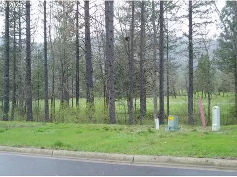 1308 Green Valley Dr, Cave Junction, OR 97523