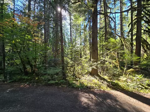 1655144006600 Mckenzie, Bridge, OR 97413