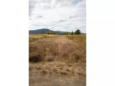 0 Second Ave, Riddle, OR 97469 photo 5