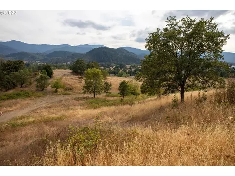 0 Second Ave, Riddle, OR 97469 photo 2